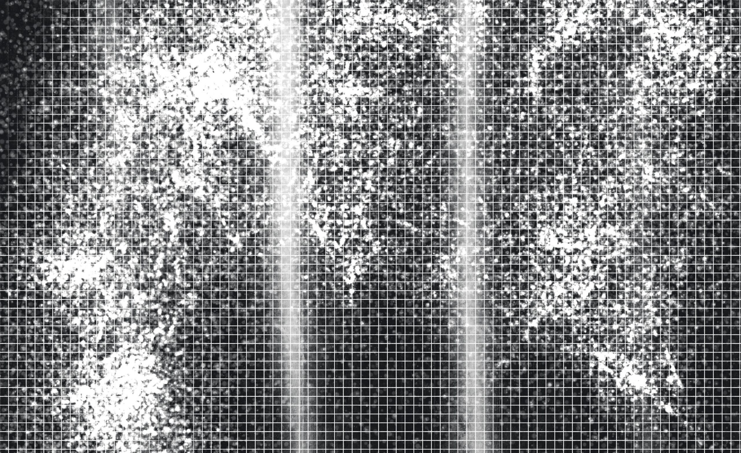 Before and after window track detail